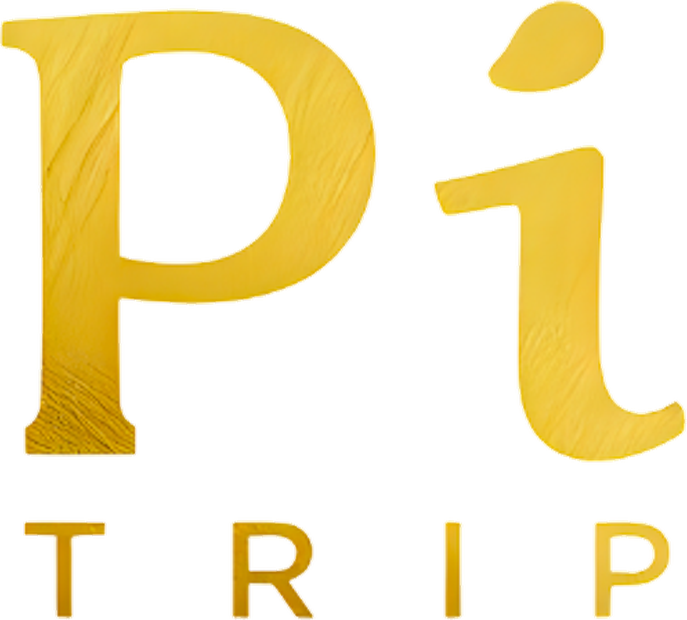 Pi Trip Logo